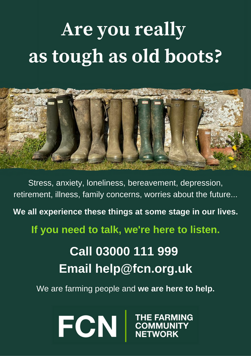 Are you really as tough as old boots?